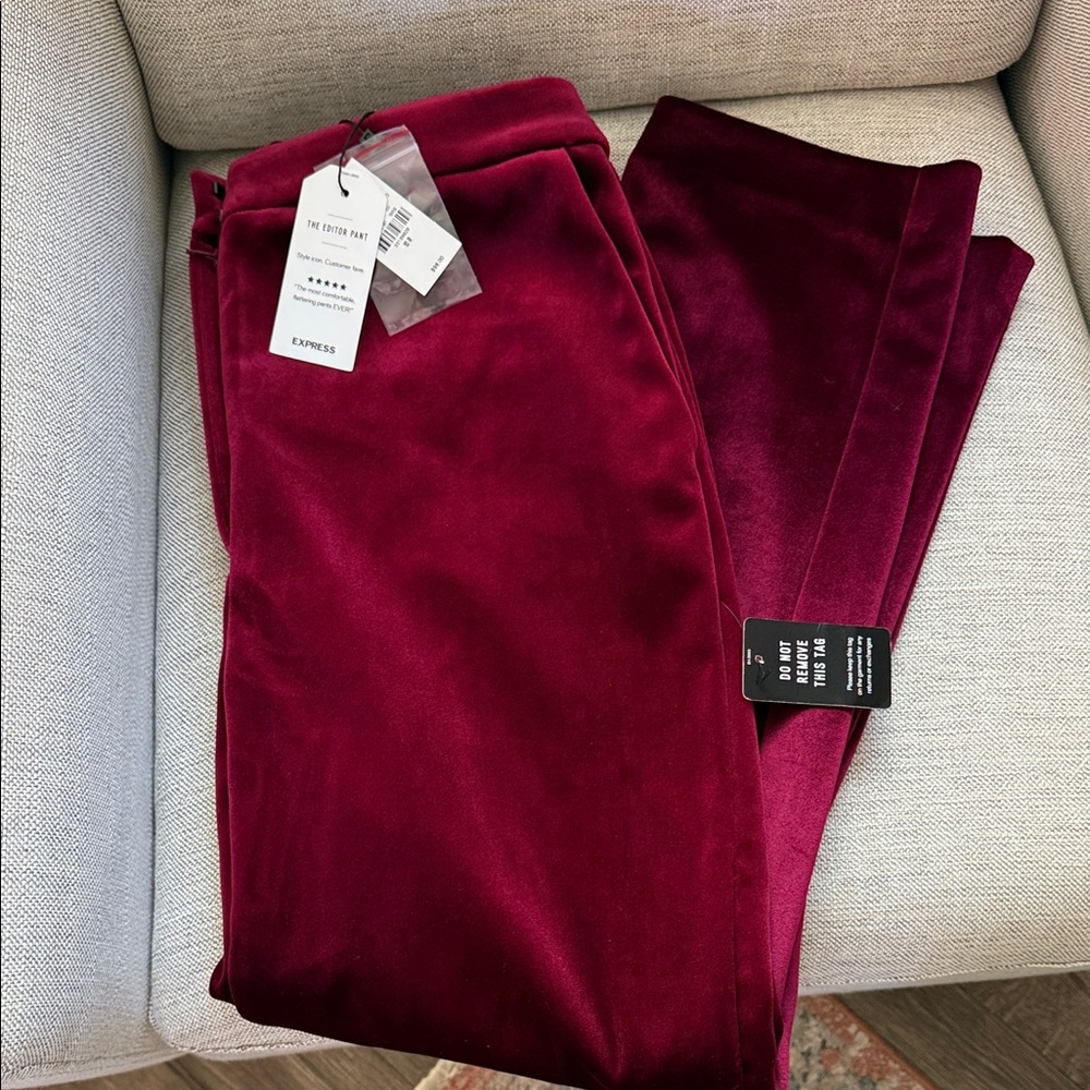 Express Woman’s Editor Burgundy Velvet Pants